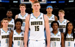 2015年掘金队阵容有哪些核心球员及战术特点？