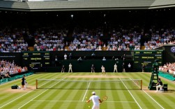 217温网决赛录像哪里能看完整版？