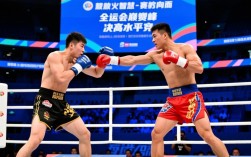 散打全运会决赛视频谁赢了？完整回放在哪看？