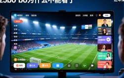 25bo bo为什么不能看了？哪里还能找到替代资源？