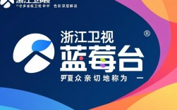 浙江卫视被称蓝莓台，这个绰号背后有什么故事？