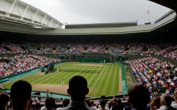 2009温网女单决赛谁夺冠？小威还是大威？