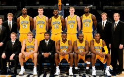 06年黄蜂队阵容有哪些核心球员及战术打法？