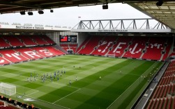 英冠斯旺西阵容有哪些核心球员？2023赛季实力如何？