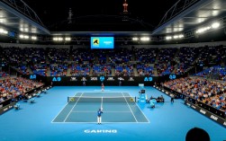 澳网决赛文字直播谁赢了吗？比分和关键点是什么？