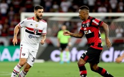 圣保罗对福塔雷萨谁赢的？比分和比赛结果是什么？