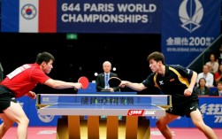 45世乒赛男单决赛马龙vs樊振东谁笑到最后？