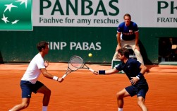 2016法网男单决赛，德约科维奇为何输给瓦林卡？