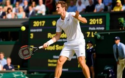 腾讯2017温网决赛