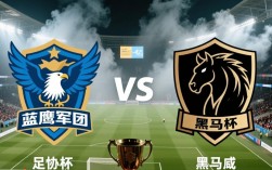 足协杯决赛录像哪里看？完整回放视频在线找