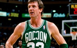 哈弗利切克为何能称铁王，他的技术特点与历史地位如何？