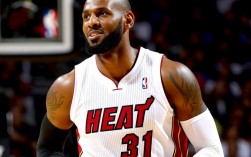 詹姆斯热火总决赛场均能得多少分？