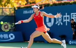 张帅中网第二轮赢球了吗？晋级下一轮了吗？