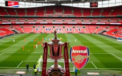 阿森纳足总杯首发阵容