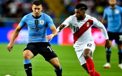 昨晚乌拉圭和秘鲁谁赢了？比分多少？