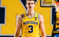 特雷伯克没打出来？深扒原因与背后隐情！