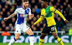 诺维奇vs米尔沃尔谁赢了？最新比赛结果比分更新！