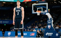 简维塞利为何NBA生涯未兑现天赋？伤病与体系适配存疑？