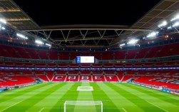 佩德罗为何曼联欧冠决赛关键？