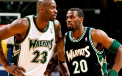 2003年森林狼阵容为何被称为平民阵容却成西部强队？