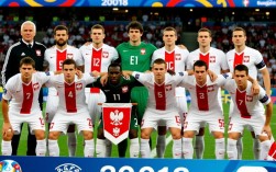 波兰2008欧洲杯阵容有哪些核心球员？未出线原因是什么？