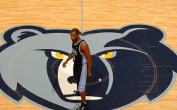 小加索尔选秀后为何未立即登陆NBA？