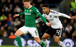 利兹联对富勒姆谁赢了？比分和赛果是什么？