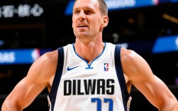 诺维斯基单核夺冠，独行侠如何打造总冠军阵容？