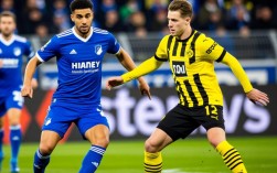 霍芬海姆对多特谁赢了？比赛结果和关键球员表现如何？