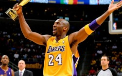 03年全明星赛谁赢了？湖人还是东部？