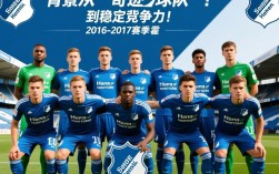 霍芬海姆2017阵容
