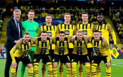 2020欧冠多特阵容有哪些核心球员？