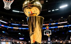 总决赛波什关键篮板，如何奠定热火王朝基石？