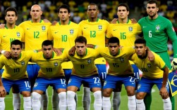 2008年巴西队阵容