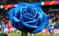 女足世界杯意大利阵容有哪些关键球员值得关注？