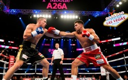 嘴炮和梅威瑟比赛谁赢了？结果争议大吗？