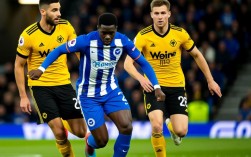 布赖顿vs狼队最新比赛结果是什么？