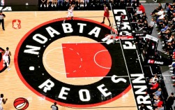 猛龙队为什么叫暴龙队？名字背后有何故事或渊源？