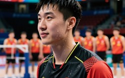 最佳阵容高指导 必定