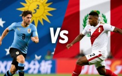 乌拉圭和秘鲁谁赢了？比赛结果比分最终排名如何？