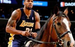 骑士为何弃用马里昂？老将经验与战术适配之谜