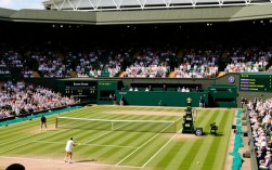 2017温网网球决赛结果如何？