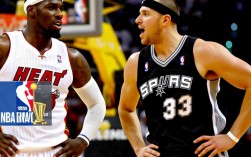 2013年nba总决赛为什么输了