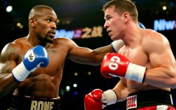 梅威瑟VS霍亚世纪战，裁判判罚是否公正？