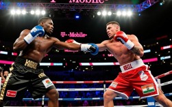 梅威瑟vs嘴炮谁赢了?