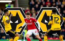 谢菲联对狼队谁赢了？最新赛果是平局还是哪队晋级？