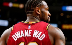 韦德为何叫德维恩？名字背后藏着什么故事？