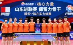 乒超山东鲁能女子阵容有哪些主力球员？