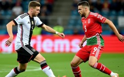 德国队和白俄罗斯队足球比赛结果谁赢了？