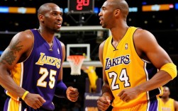 09年NBA西部决赛谁赢的？湖人VS掘金结果揭秘